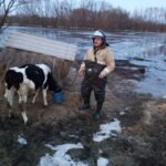 В Добринском районе спасатели эвакуировали трех человек и скот из подтопленных домов